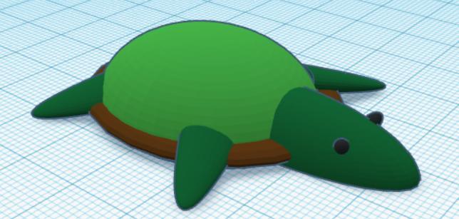 Turtle model for turtle