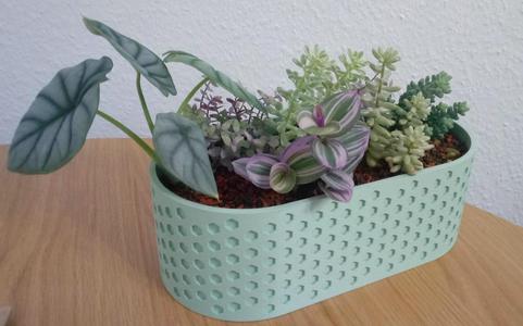 Parametric Succulent Pot