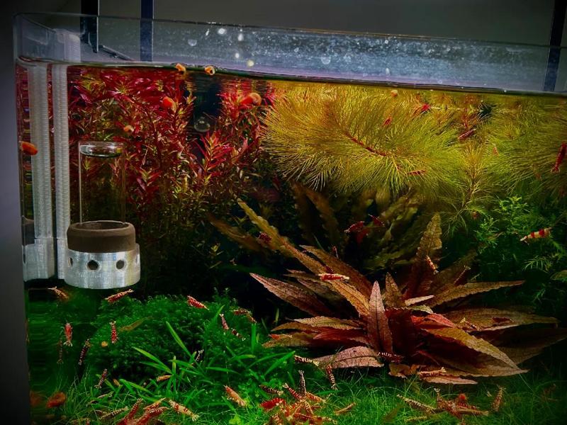 Söchting Oxydator mini Halterung   