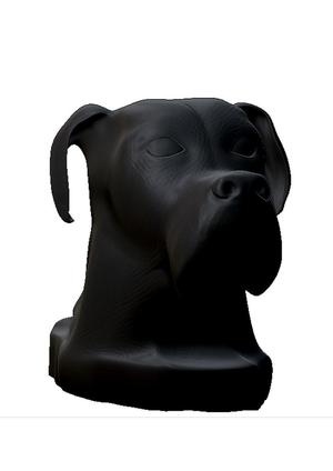 bust dog 2