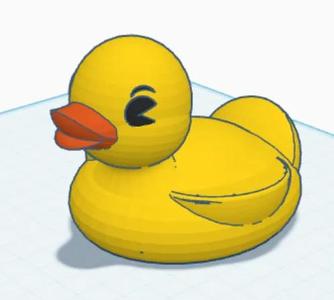 Float in the water Duck   