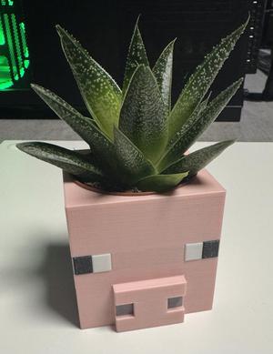 Minecraft Pighead Planter MMU