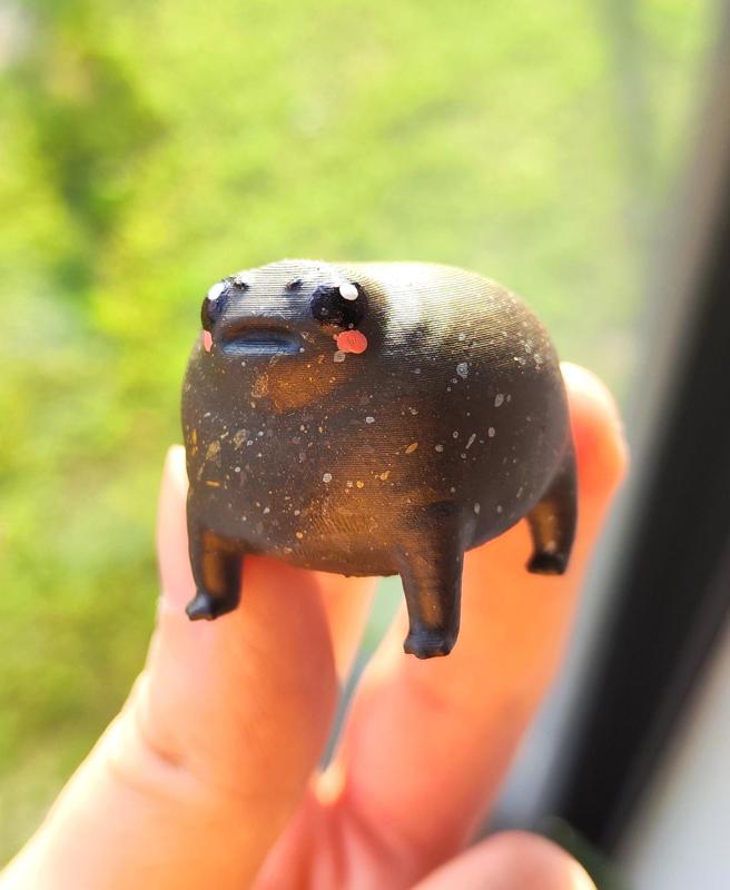 Cute Chonky Frog - Black Rain Frog - Grumpy Frog - Desert Rain Frog
