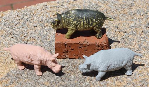 A Small Rhinoceros 