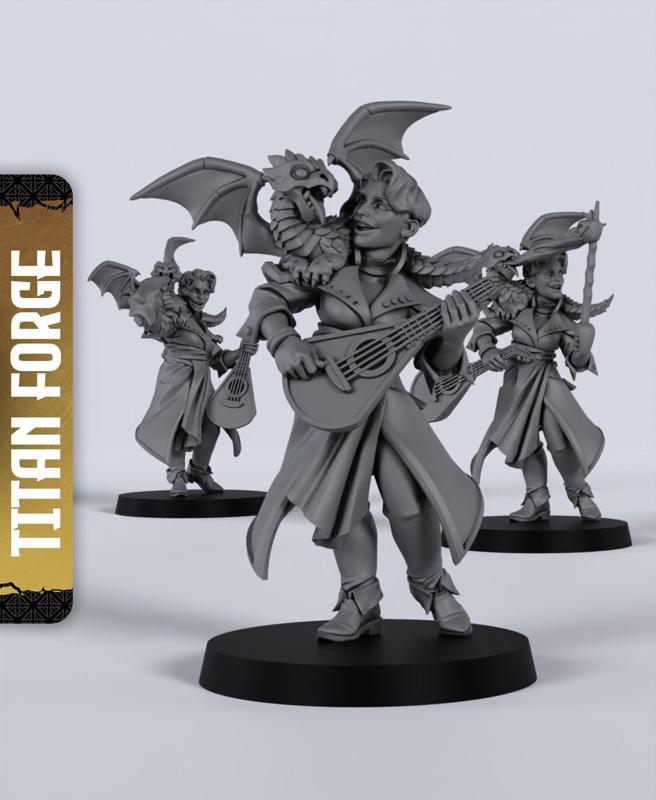 Human Male Bard - With Free Dragon  - 5e DnD Inspired for RPG and Wargamers