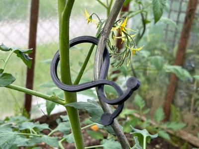 Clips for other vegetables in the greenhouse