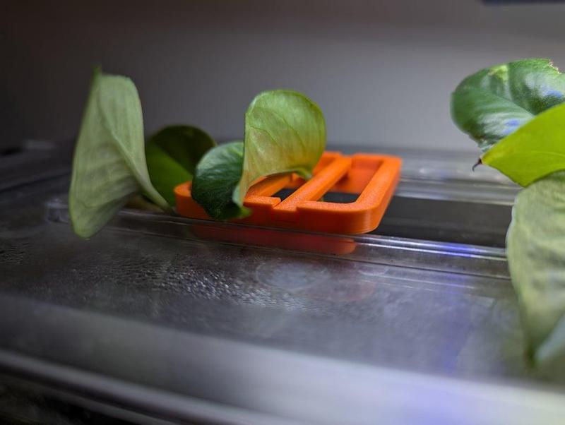 Plant cutting holder for Fluval Spec III and V