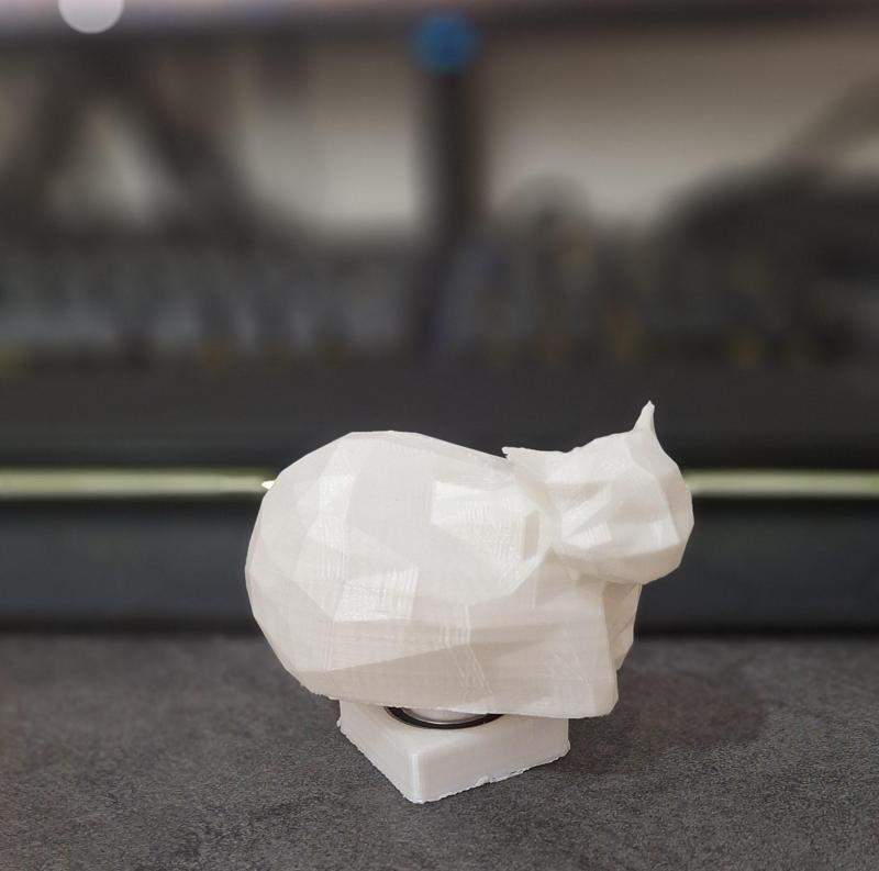 spinning maxwell cat oiiaiioiiiai