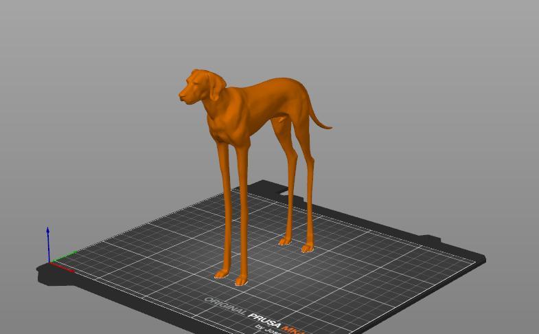 Vizsla dog but with really long legs