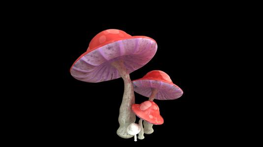 Mushrooms