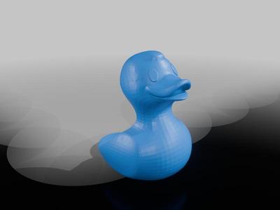 Duck ball holder
