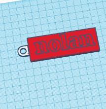 Nolan name tag