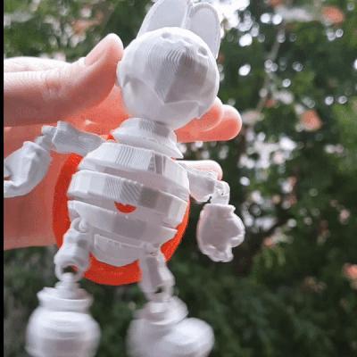 ARTICULATED DRY BONES