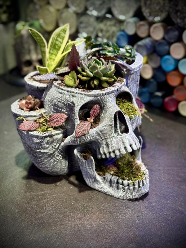 Skull garden planter
