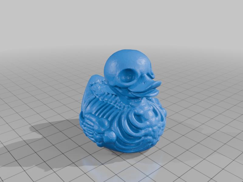 skeleton duck