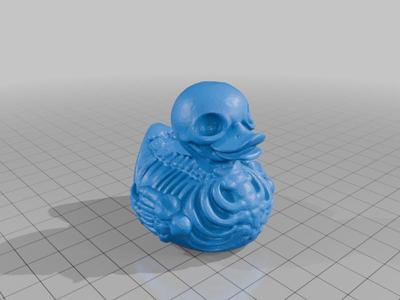 skeleton duck