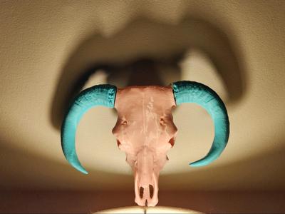 "Down" Bull Skull