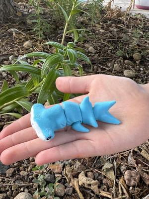 Teal Cat Hammerhead Shark