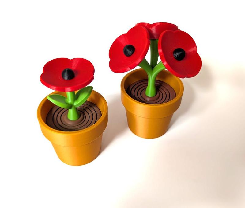 Poppy Flower - Springy Flower Collection