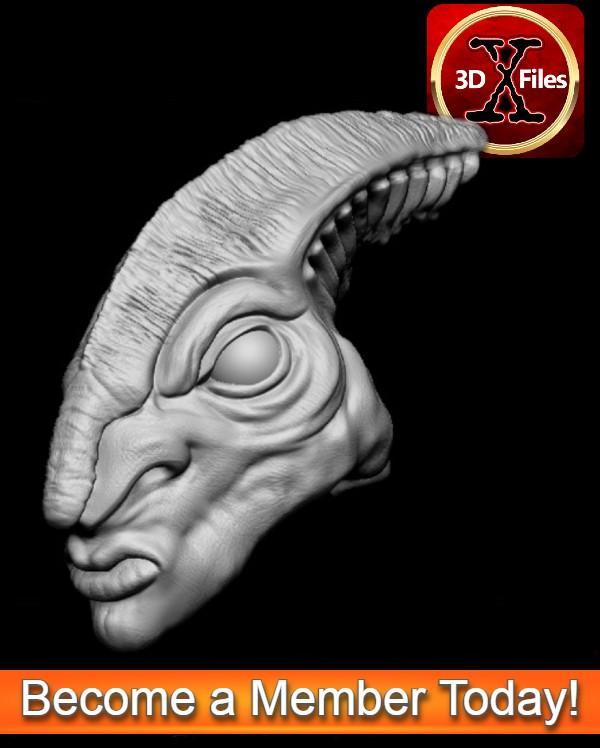 Coleman Trebor Head - Star Wars Jedi 1/6 Scale - Hottoys 1:6 - 3D File