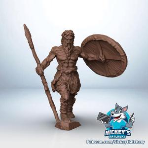 Celtic Warrior