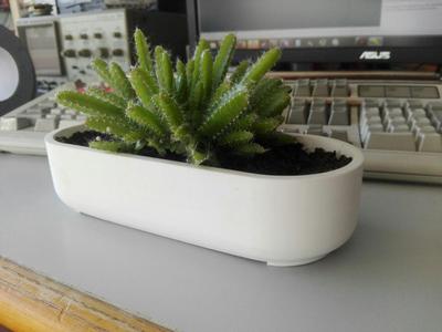 simple round or wide pot - OpenScad