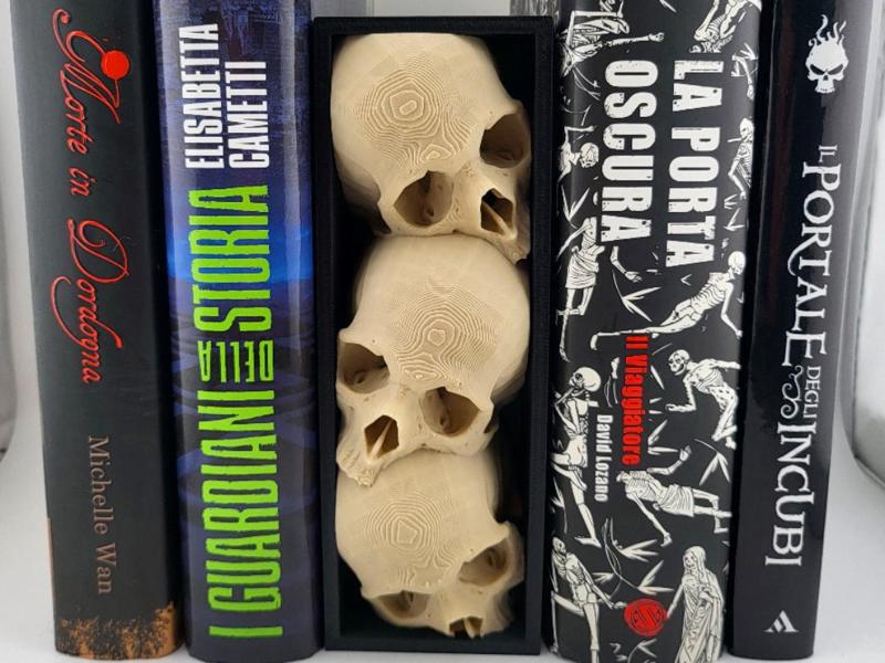 book nook skull