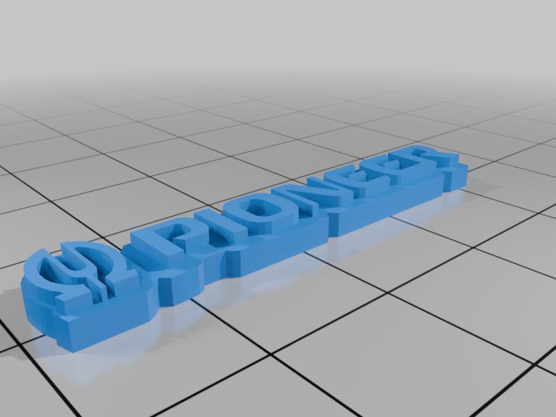 Pioneer logo loudspeaker sound system