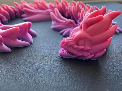 Kermadec the flexible Deep Sea Dragon