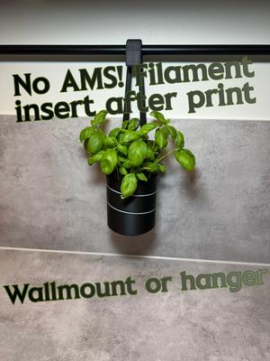 Hanging planter with filament insert accent color