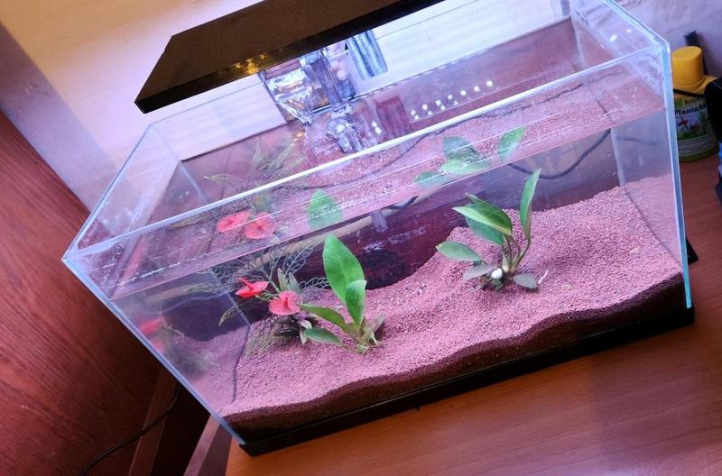 Barre de Led Pour aquarium de 20L