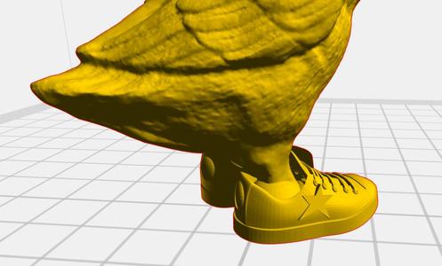 Golden goose wearing golden goose shoes