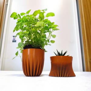 Parametrical plant pot
