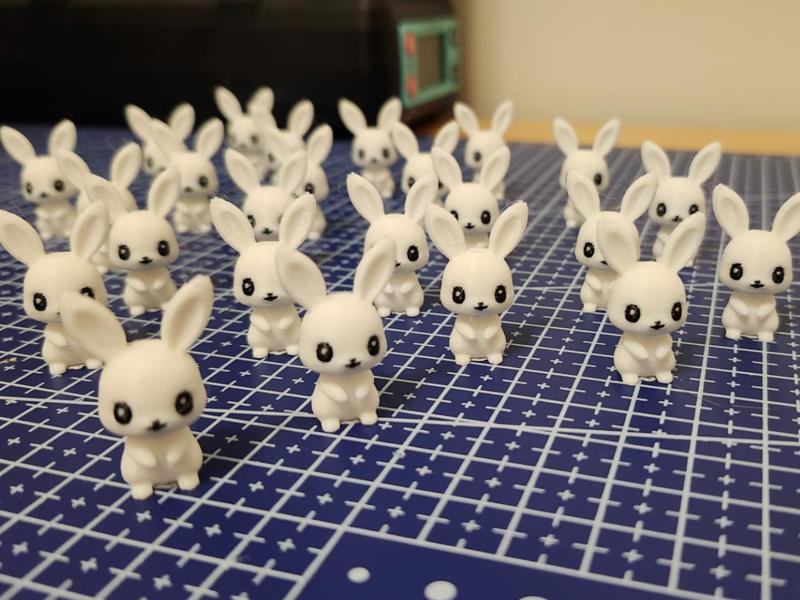 Mini bunnies