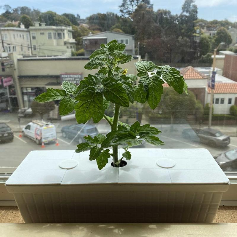 Window Planter Cover