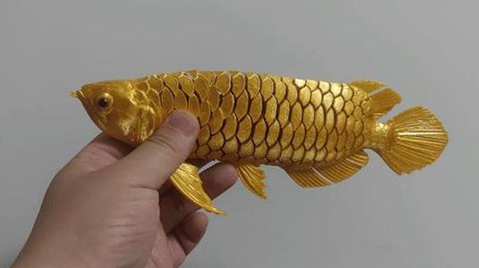 Arowana