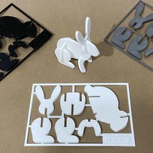 Bunny Kit Card