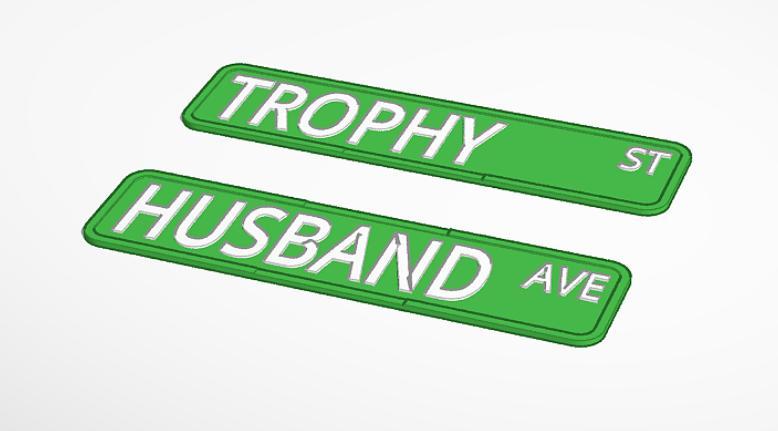 Trophy Husband
