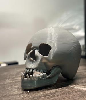 The Skull