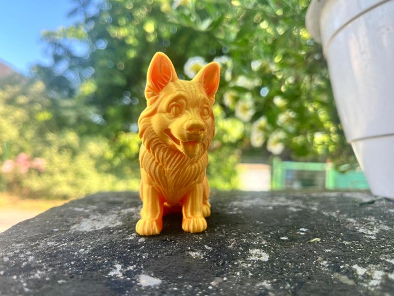 Adorable German Shepherd 