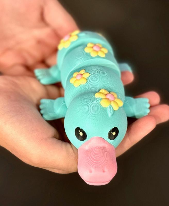 Articulated Floral Platypus by Teal Cat Creative