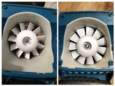 Blower fan