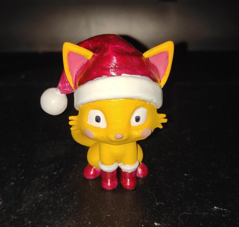 Sweet Christmas Cat with hat and boots <3