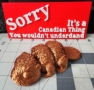 It's a Canadian Thing Sign