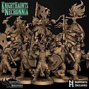 Knighthaunts of Necronnia Character Pack