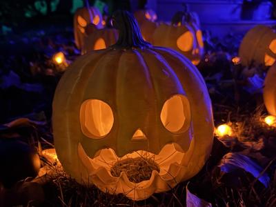 Jack-O-Lantern Pumpkin Halloween Tealight