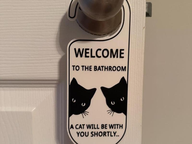 Welcome to the bathroom, a cat will be with you 