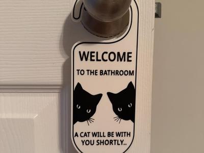 Welcome to the bathroom, a cat will be with you 
