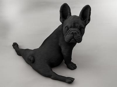 Yoga Dog