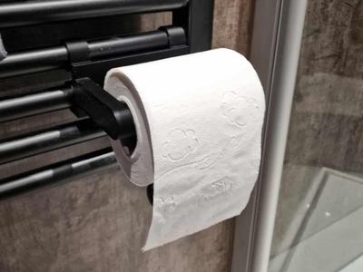 Radiator toilet paper holder